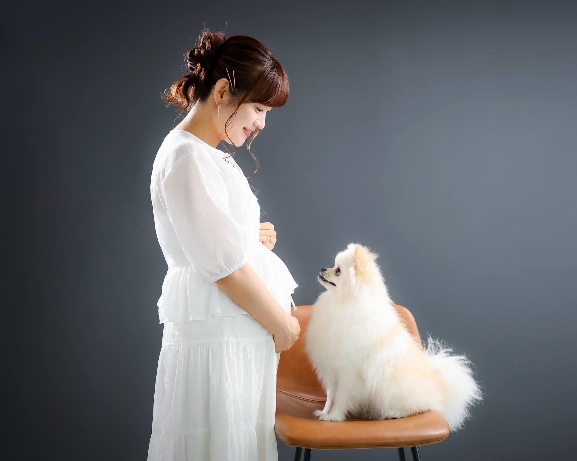お腹に手をあてるマタニティの女性と椅子の上のポメラニアン