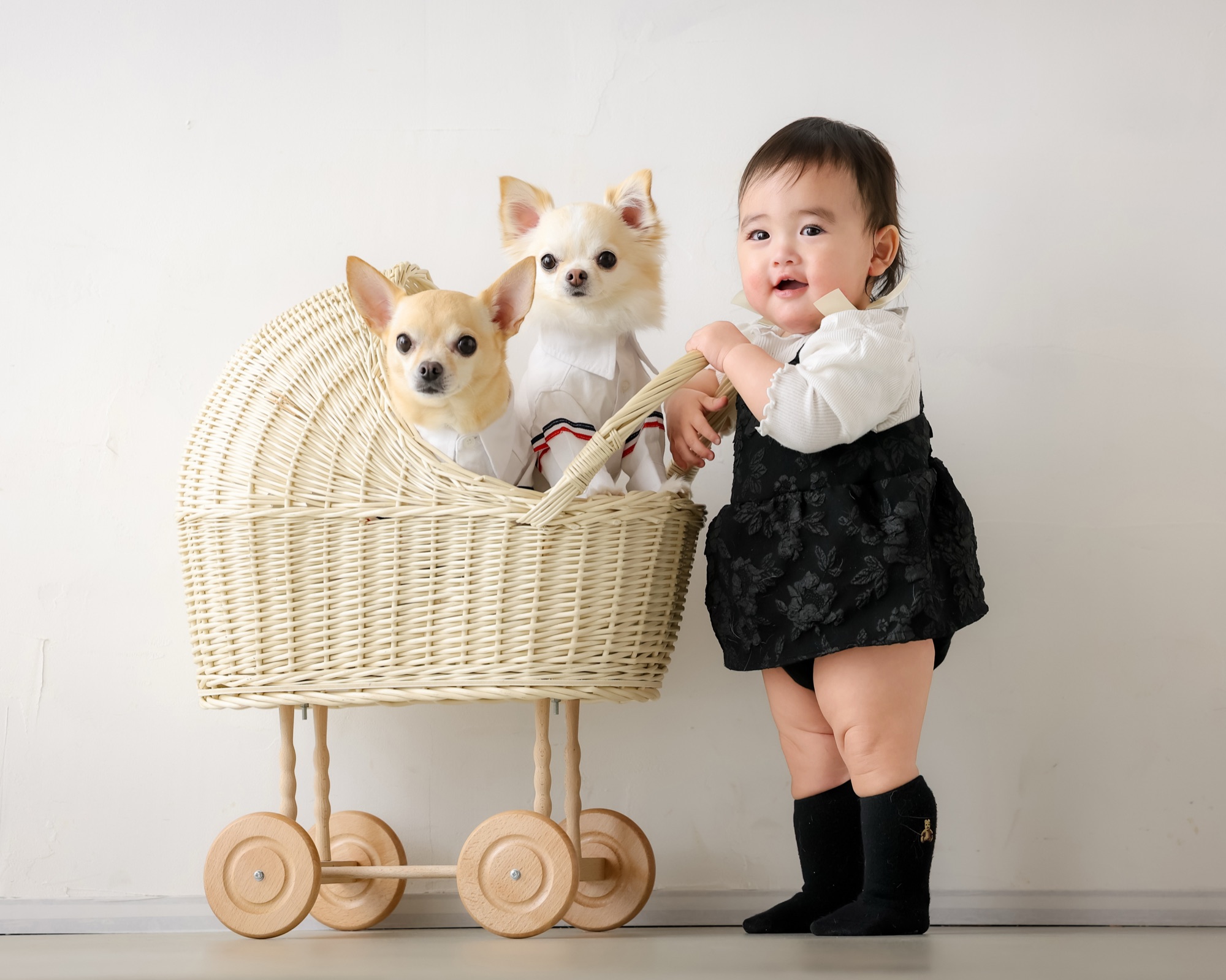 籐の乳母車に乗った2匹のチワワと、手を添えて立つ赤ちゃん｜受賞作品「Friendly Days」