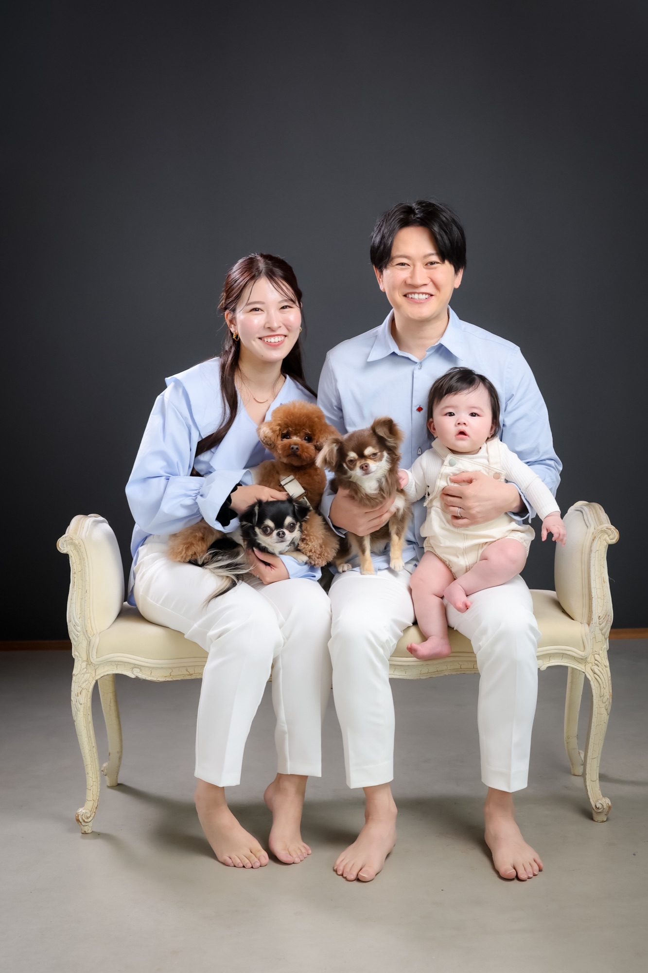 赤ちゃんと3匹の愛犬と一緒に撮影した家族写真