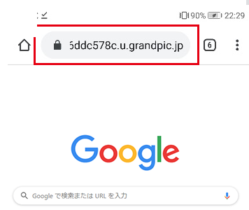 ブラウザのアドレス欄にURLを貼り付けた画面