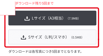 LサイズとSサイズを選ぶ画面