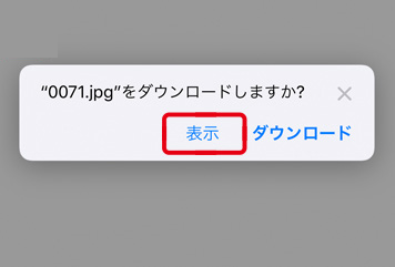 ダウンロードの確認画面