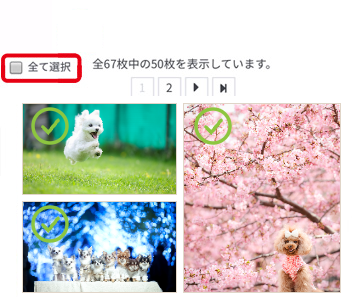 全て選択にチェックを入れる画面